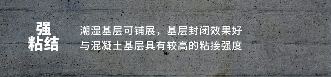 Z6·尊龙「中国」官方网站