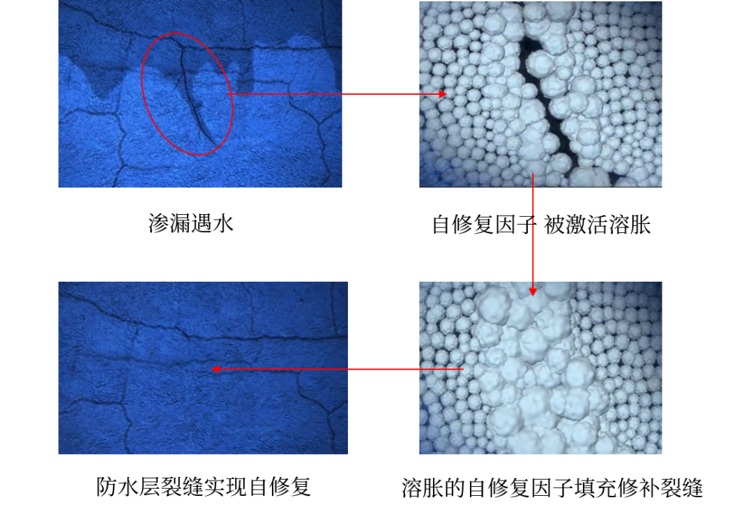 Z6·尊龙「中国」官方网站