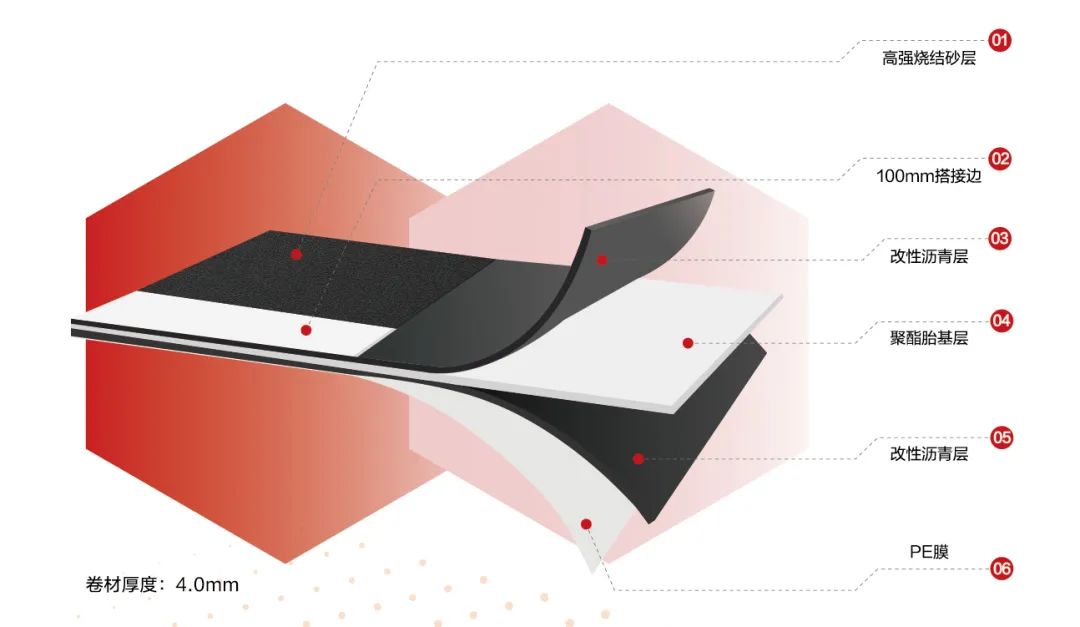 Z6·尊龙「中国」官方网站