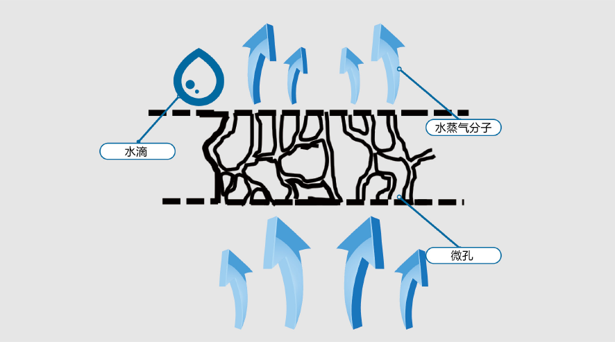 Z6·尊龙「中国」官方网站