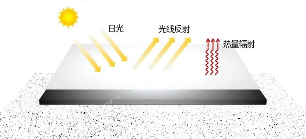 Z6·尊龙「中国」官方网站