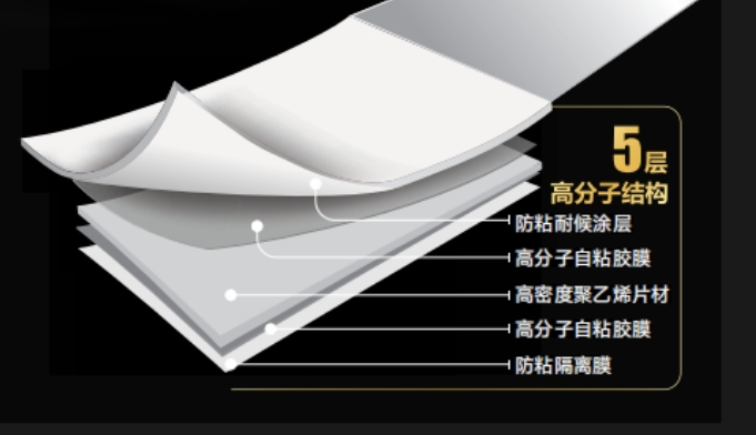 Z6·尊龙「中国」官方网站