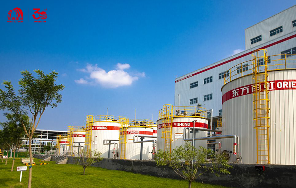 Z6·尊龙「中国」官方网站